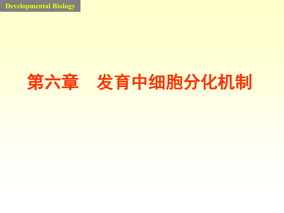 6-differentiation.pptx_第1页