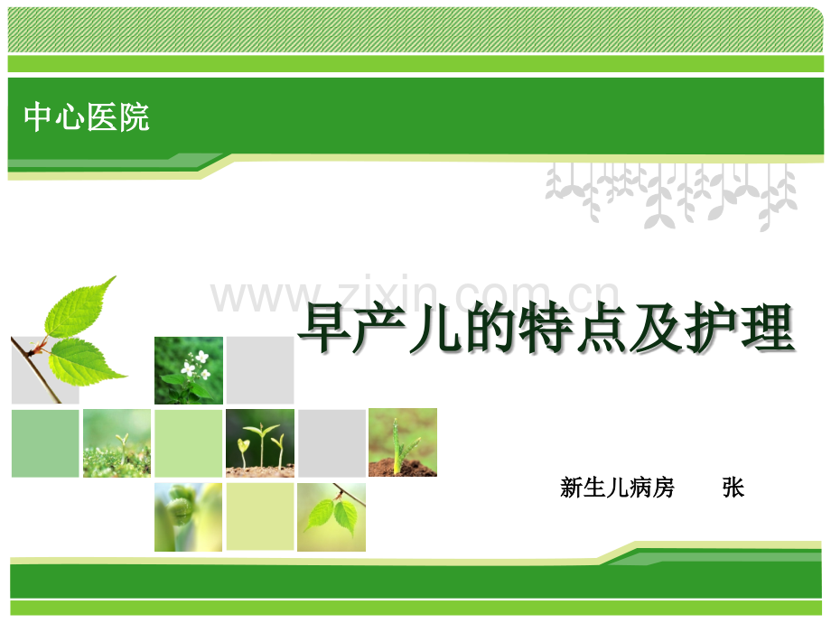 早产儿的特点及护理.pptx_第1页