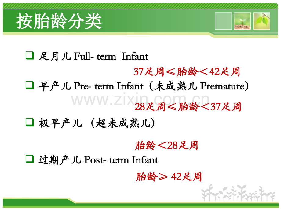 早产儿的特点及护理.pptx_第2页