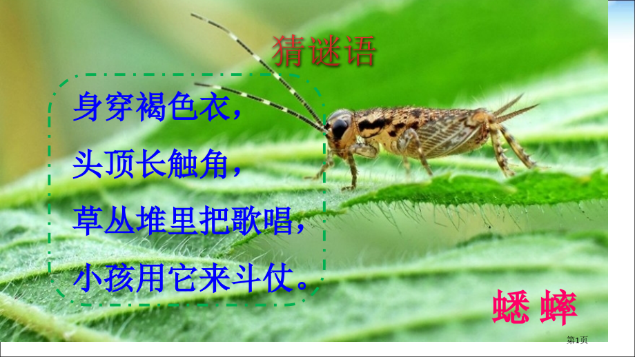 人教版部编版三年级上册语文10在牛肚子里旅行市公开课金奖市赛课一等奖课件.pptx_第1页