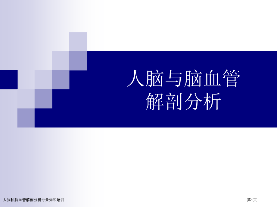 人脑和脑血管解剖分析专业知识培训专家讲座.pptx_第1页