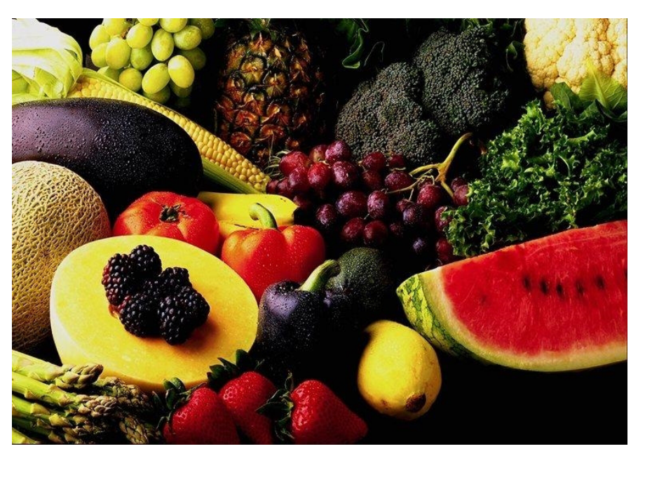 种子及根一.pptx_第2页