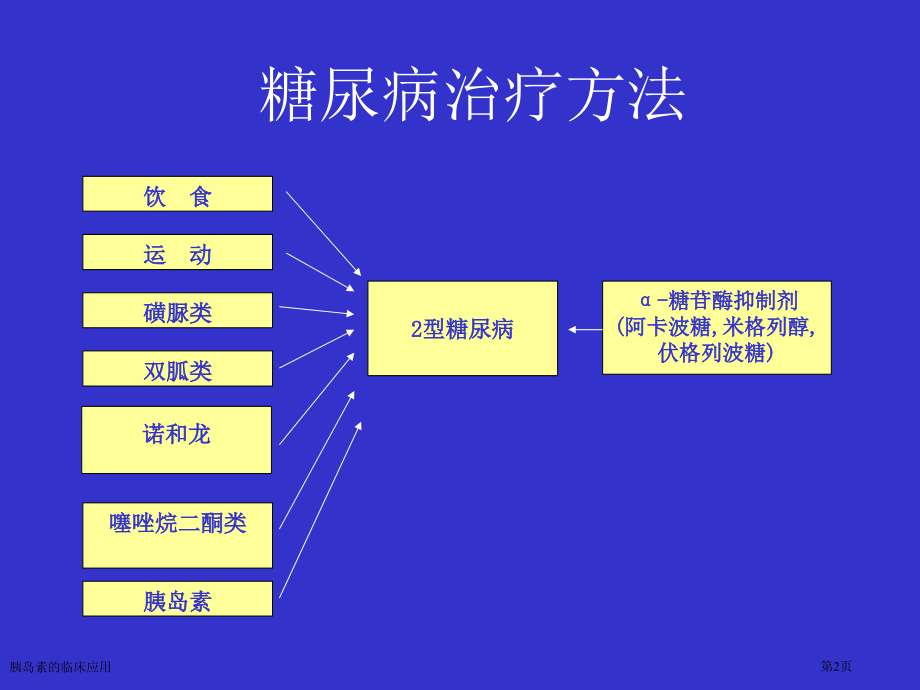 胰岛素的临床应用专家讲座.pptx_第2页