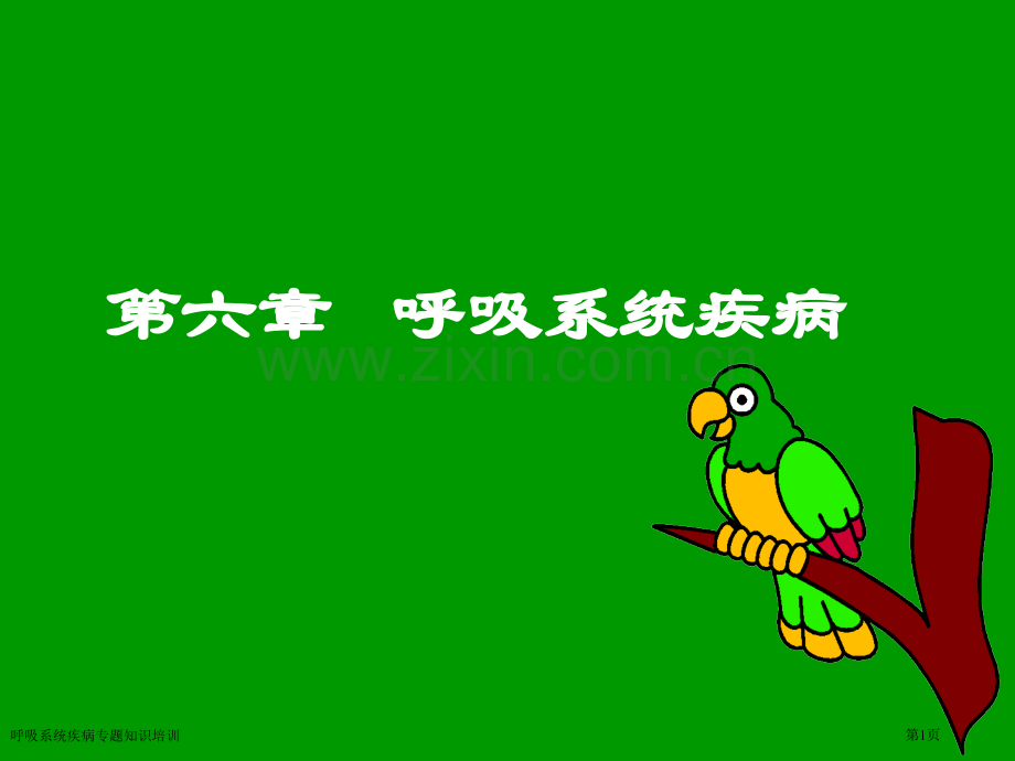 呼吸系统疾病专题知识培训专家讲座.pptx_第1页