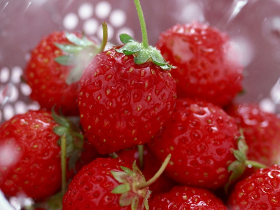 种草莓ppt.pptx_第2页