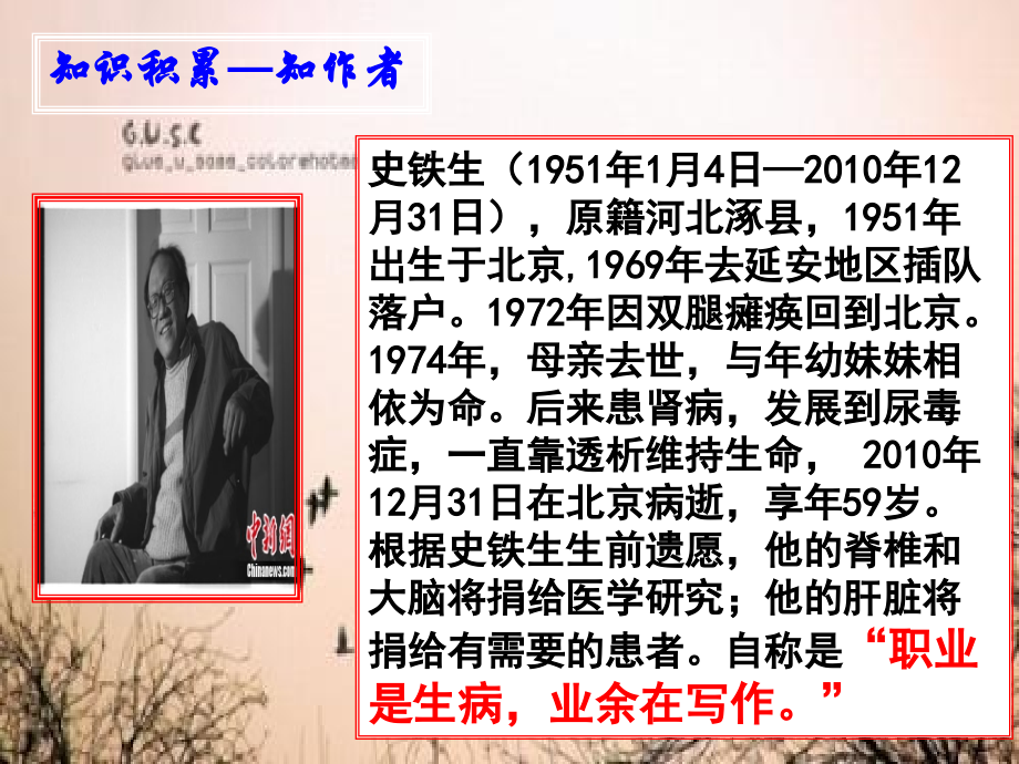 秋天的怀念优秀.pptx_第2页