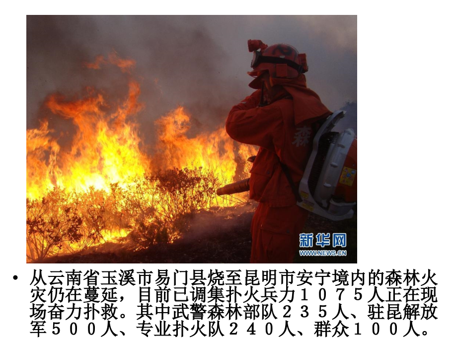 政府的职能.pptx_第1页