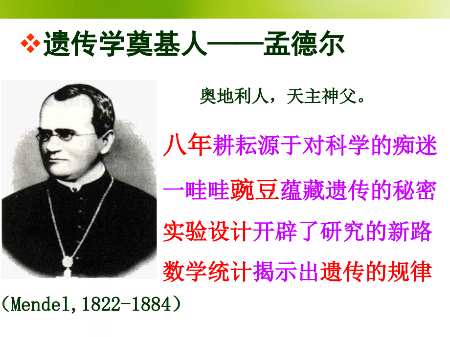 高中生物02基因分离定律.pptx_第2页