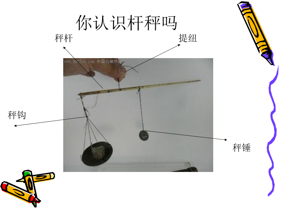 称量工具.pptx_第2页