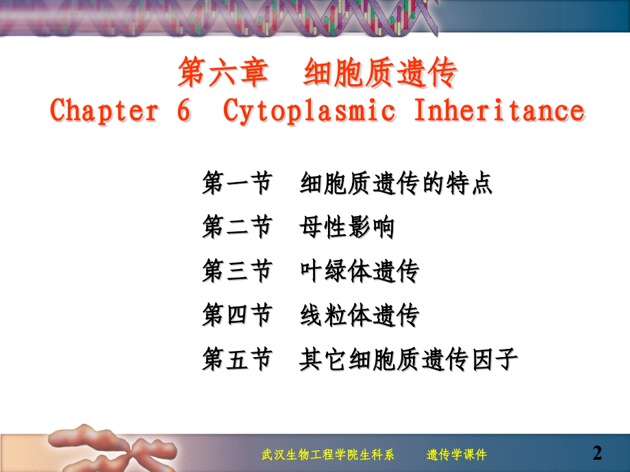 细胞质遗传遗传学.pptx_第2页