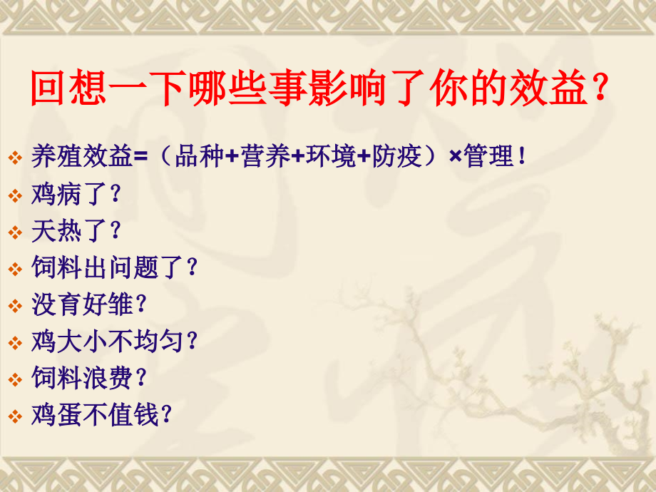 走出养蛋鸡赚钱不多的怪圈.pptx_第2页