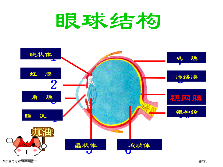 保护视力专业知识讲座.pptx_第2页