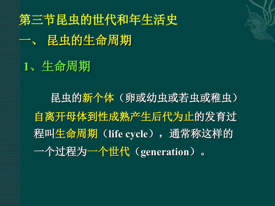 昆虫的发育与行为.pptx_第1页
