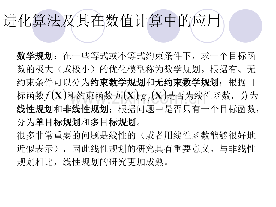 进化算法与其在数值计算中的应用.pptx_第2页