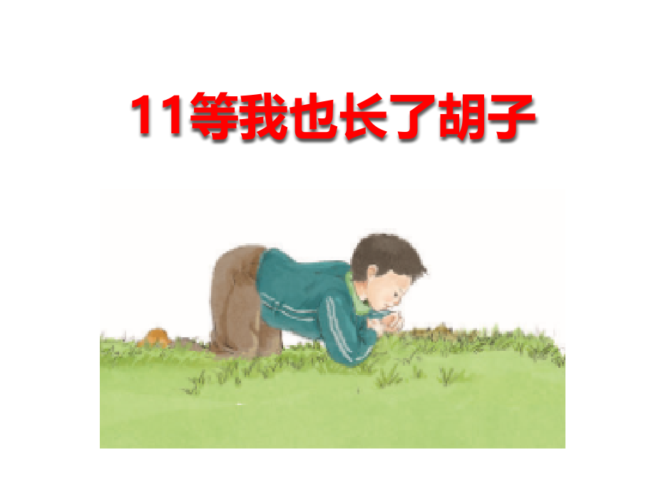 西师大版小学二年级语文下册11等我也长了胡子.pptx_第1页