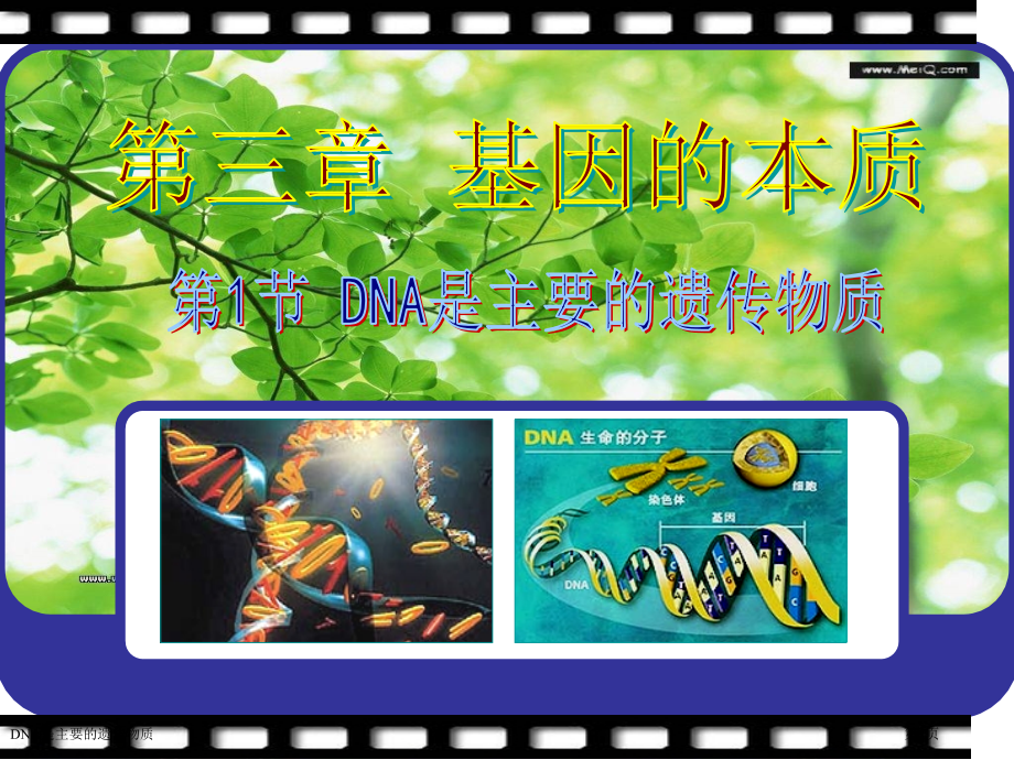 DNA是主要的遗传物质.pptx_第1页