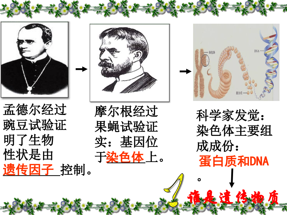 DNA是主要的遗传物质.pptx_第2页