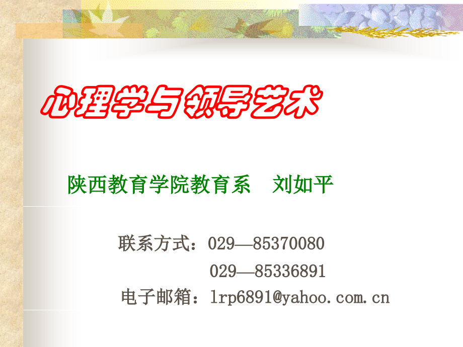 领导心理07定含图.pptx_第1页