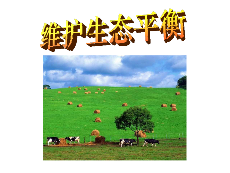 维护生态平衡.pptx_第1页