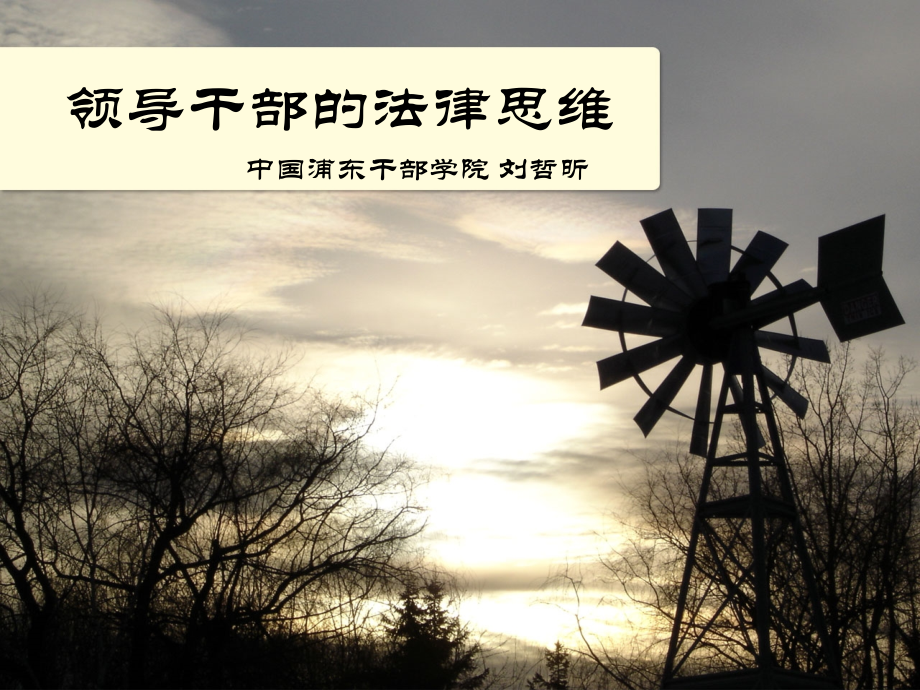 领导干部的法律思维2010微观.pptx_第1页