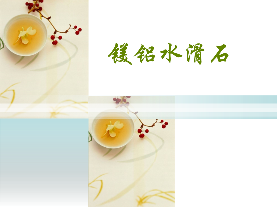镁铝水滑石课件.pptx_第1页