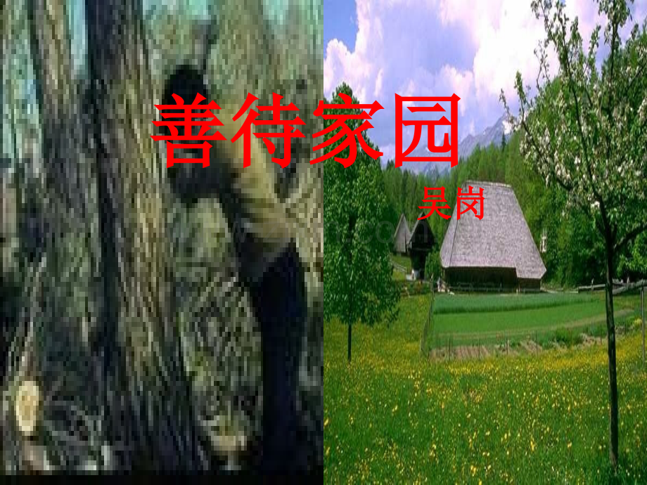 语文519善待家园1语文版九年级下册.pptx_第1页