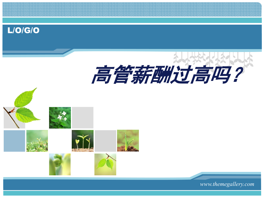 高管薪酬全面分析案例.pptx_第1页