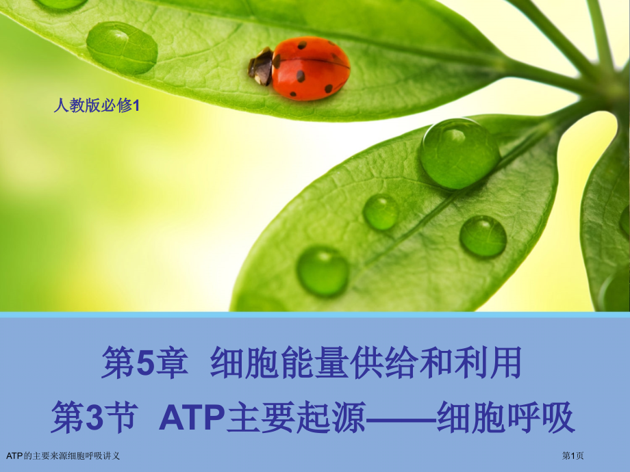 ATP的主要来源细胞呼吸讲义.pptx_第1页
