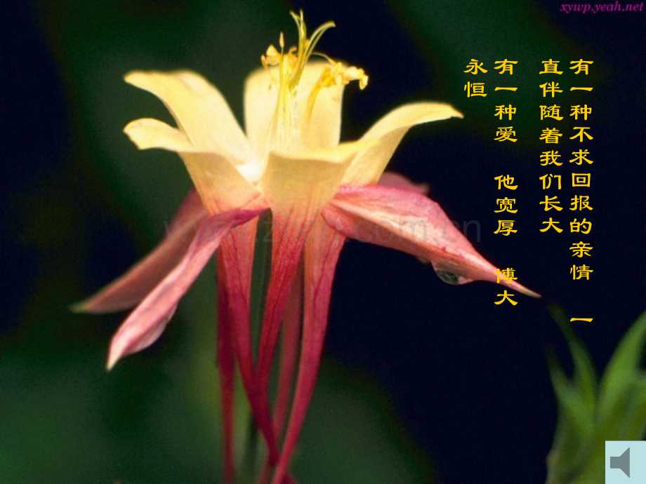 语文414给儿子的一封信2语文版九年级上册.pptx_第1页