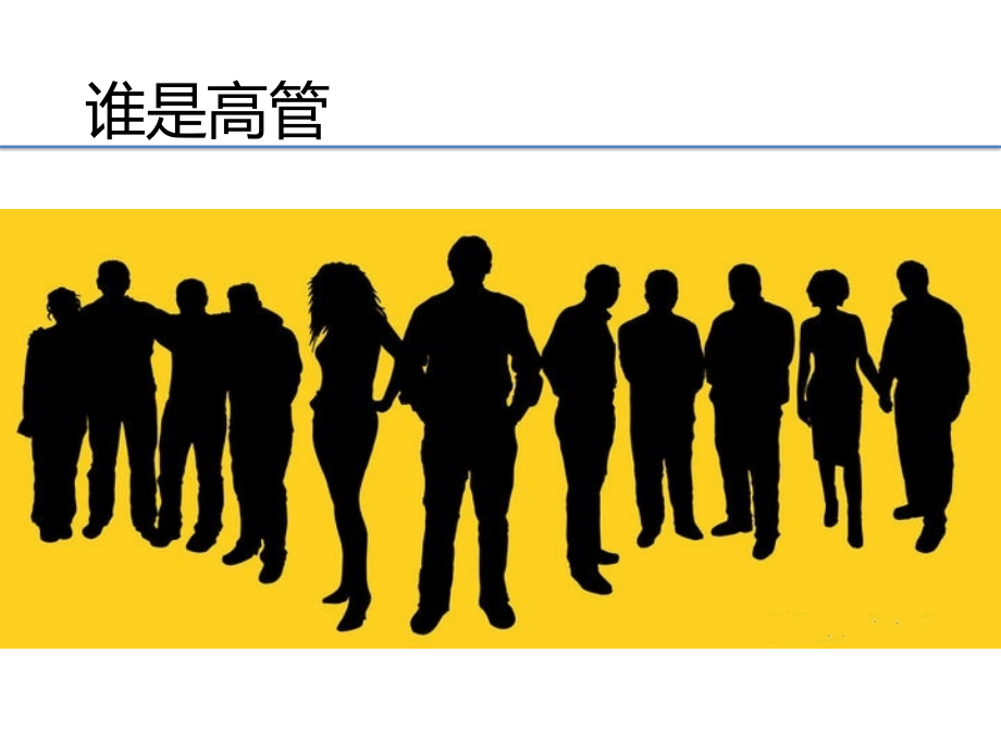 高管薪酬制度设计.pptx_第2页