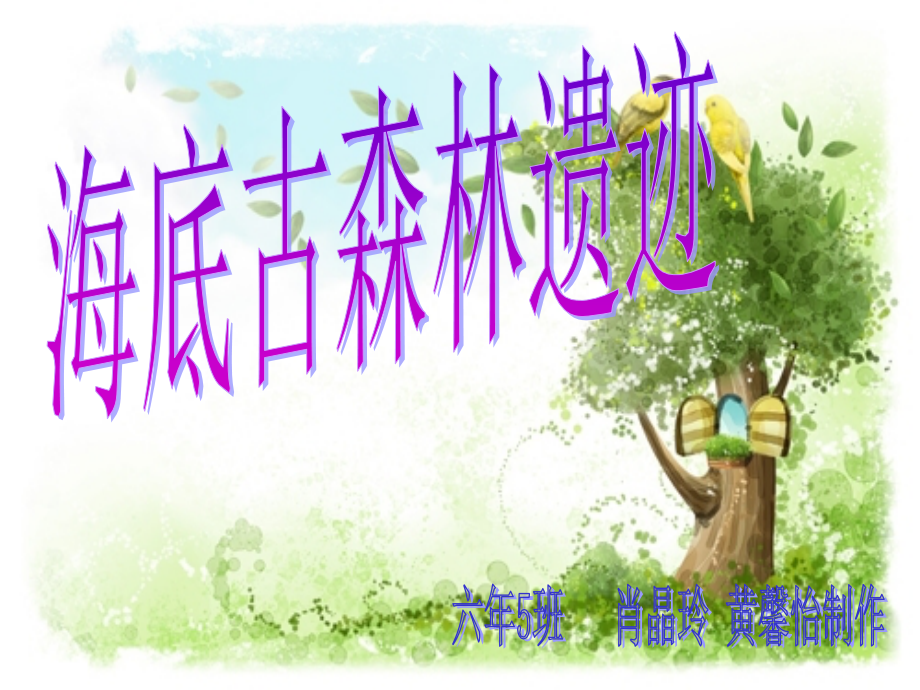 海底古森林遗迹.pptx_第1页