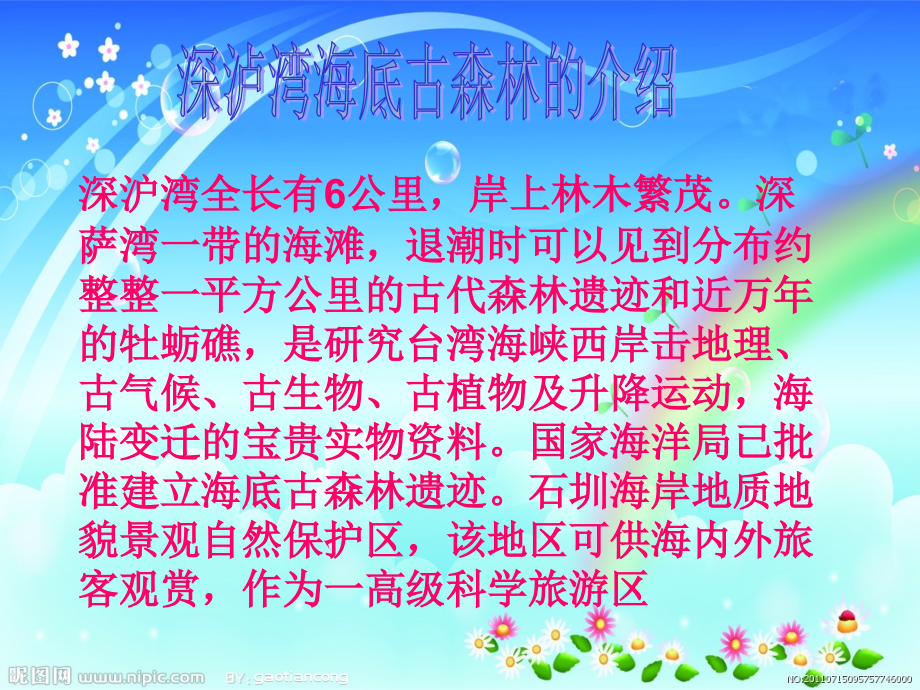 海底古森林遗迹.pptx_第2页