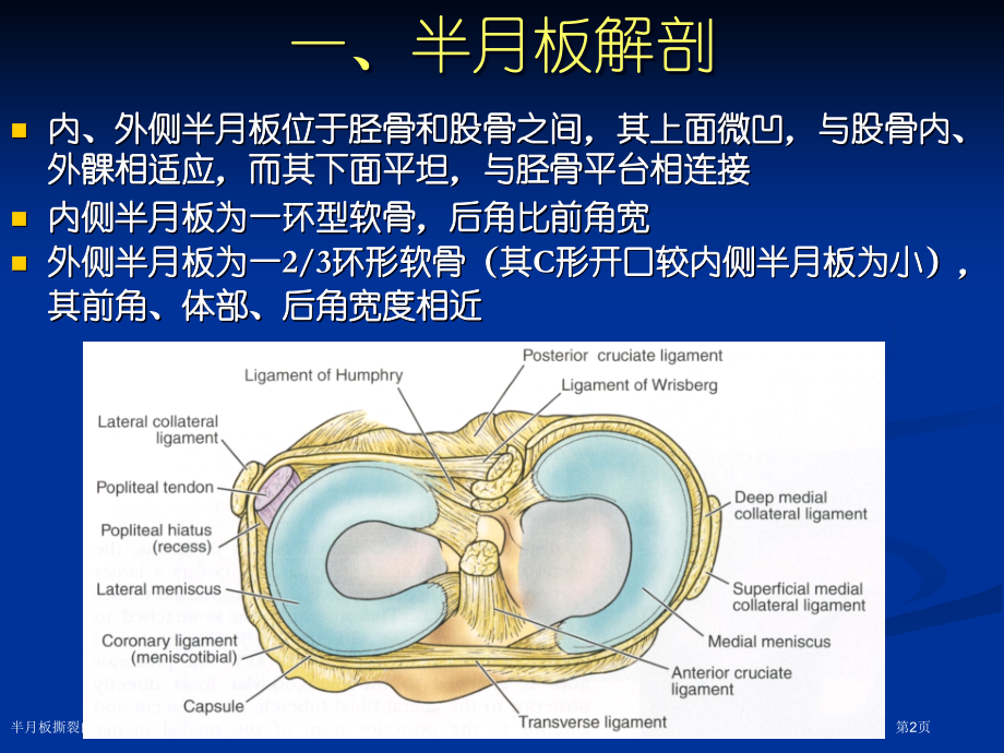 半月板撕裂的MR诊断.pptx_第2页