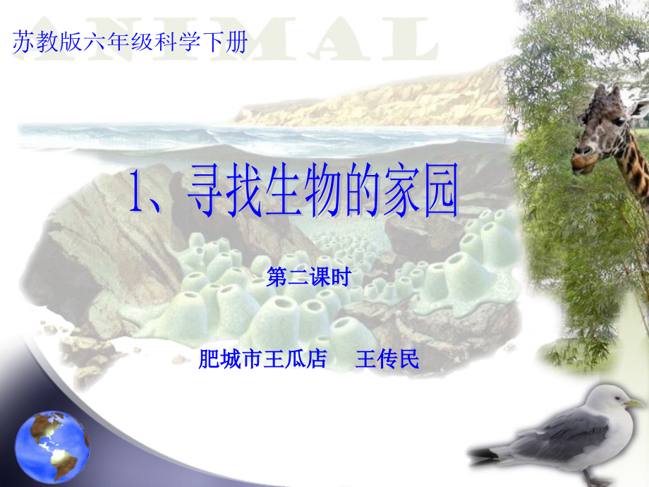 苏教版六年级科学下册寻找生物的家园.pptx_第1页
