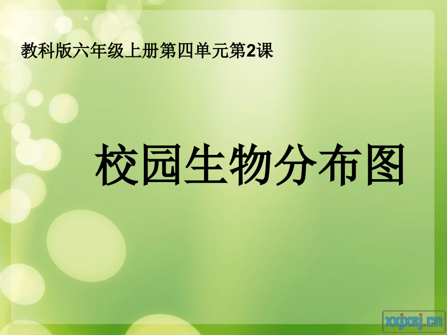 校园生物分布图.pptx_第1页