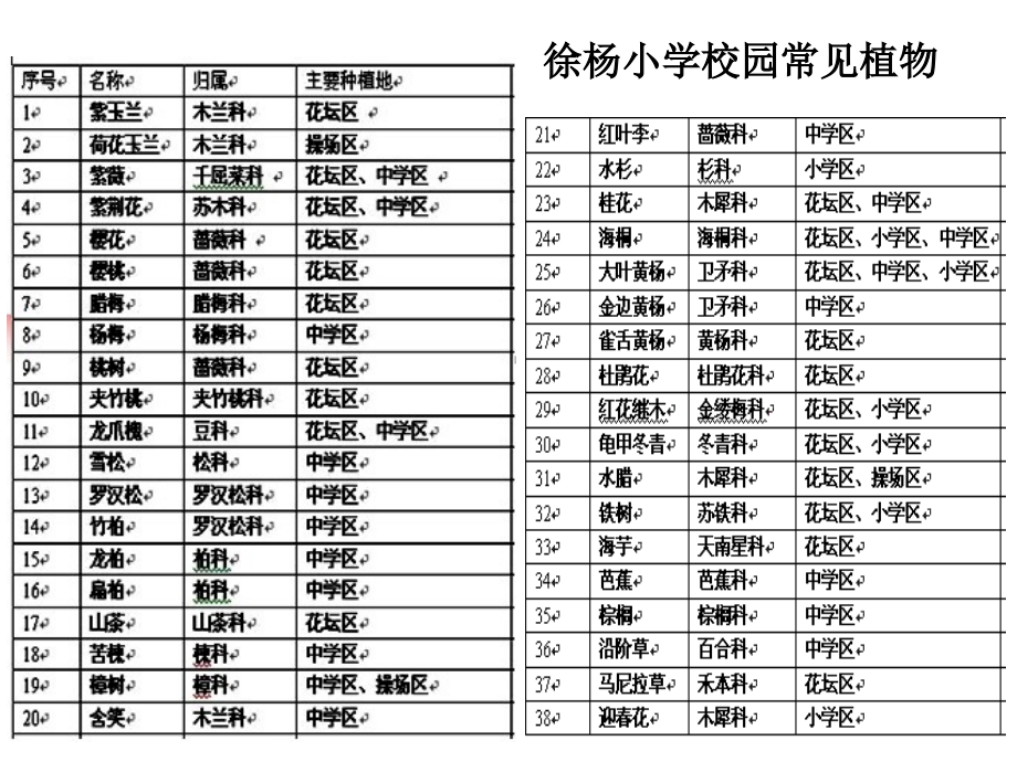 校园生物分布图.pptx_第2页