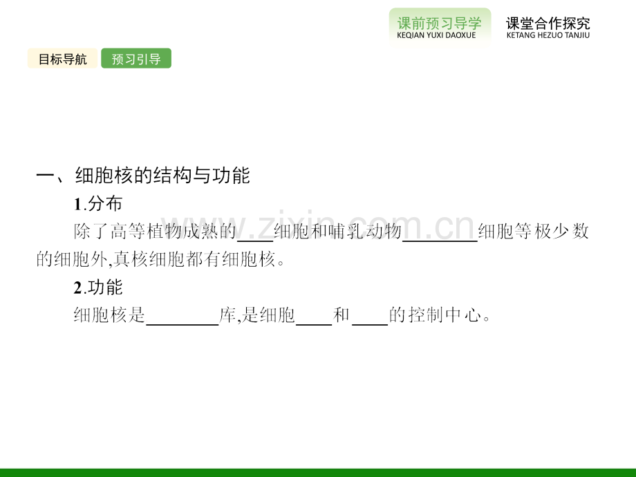 细胞的基本结构33新课标生物必修.pptx_第2页