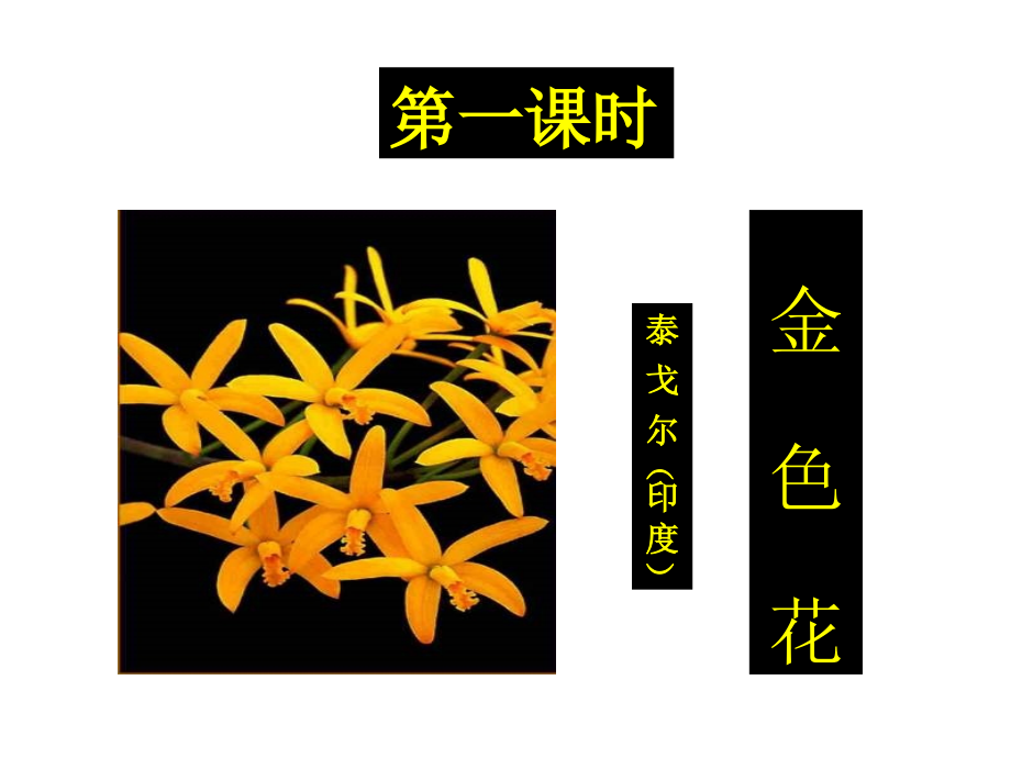 语文24散文诗金色花荷叶母亲.pptx_第2页