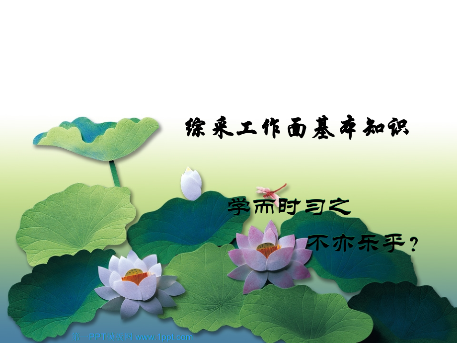 综采工作面基本知识.pptx_第1页
