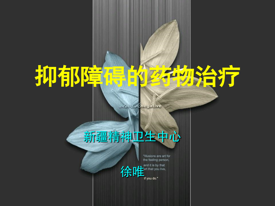 抑郁障碍的药物治疗新疆能力师资培训.pptx_第1页