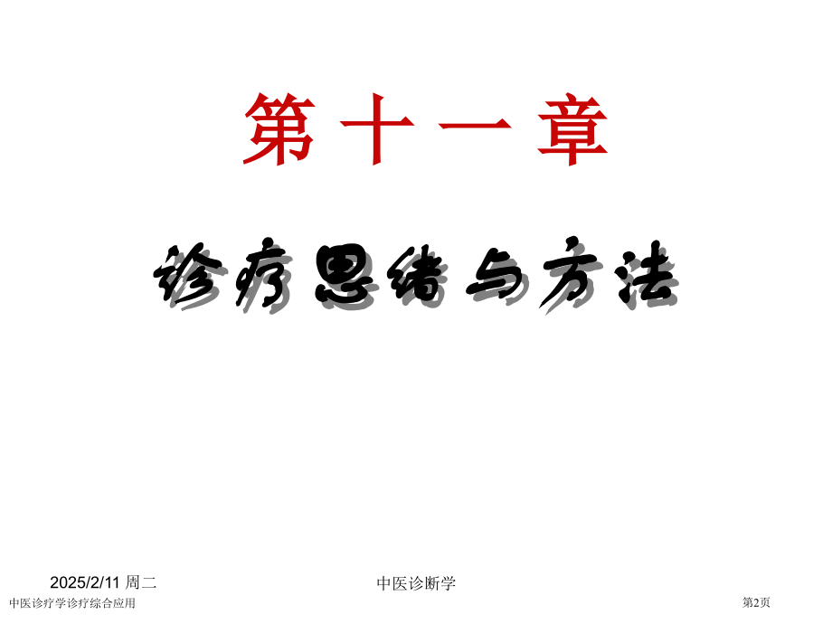 中医诊疗学诊疗综合应用专家讲座.pptx_第2页
