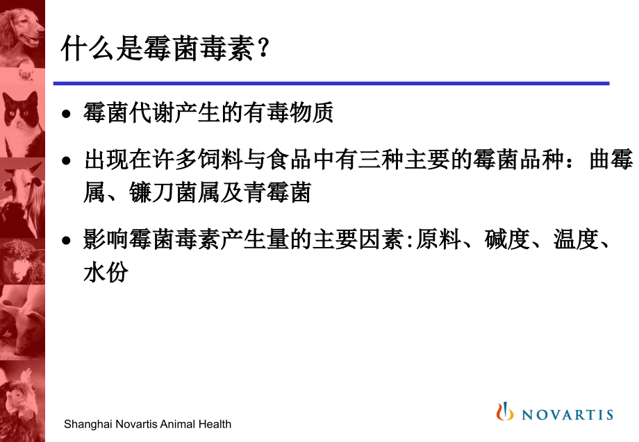 霉菌中毒对畜禽的危害.pptx_第1页