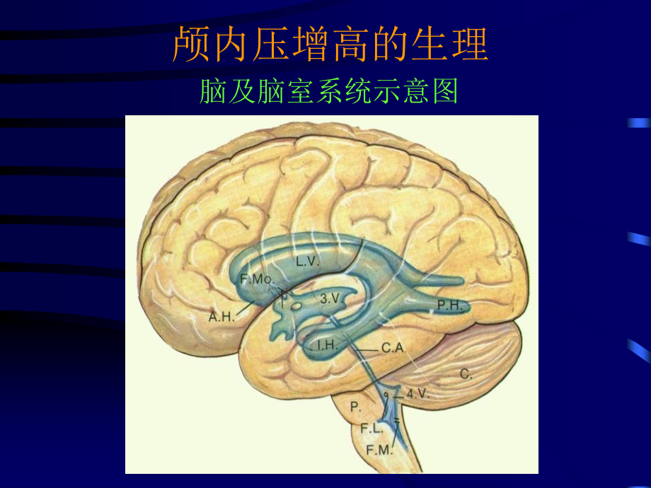 颅内压增高症.pptx_第2页