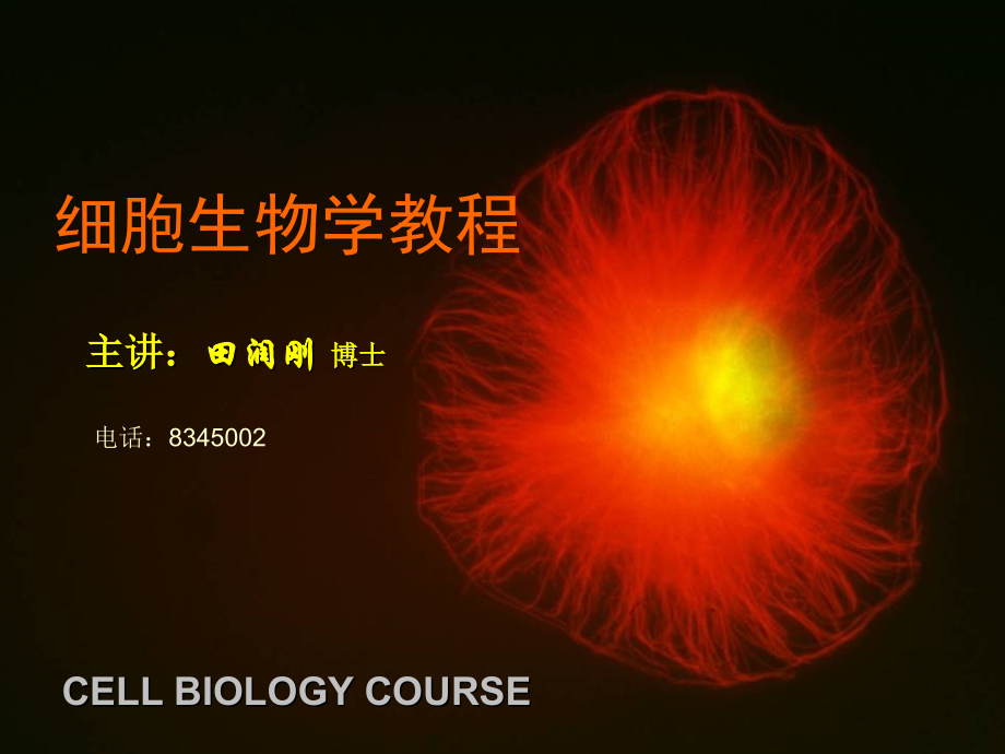 细胞生物学教程-历史与展望.pptx_第1页
