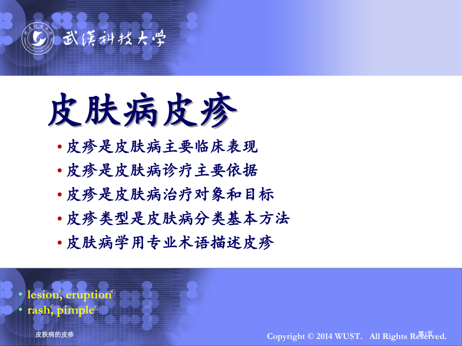 皮肤病的皮疹.pptx_第1页