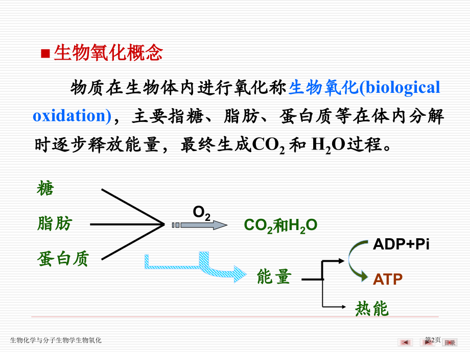 生物化学与分子生物学生物氧化专家讲座.pptx_第2页