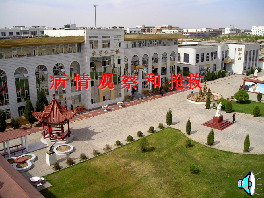 护理学基础-病情观察和抢救.pptx_第1页