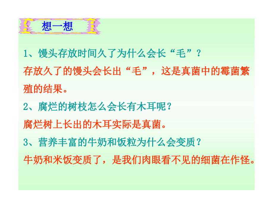 细菌和真菌的分布1.pptx_第2页