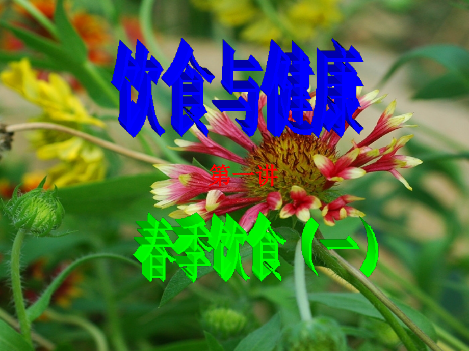 饮食与健康素材.pptx_第1页