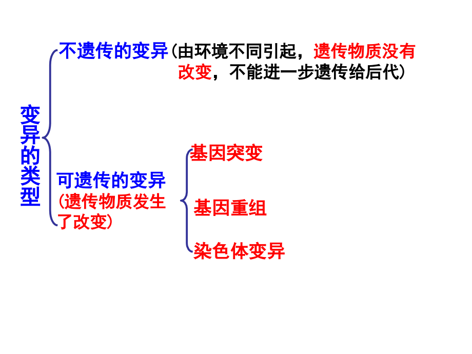 高二复习6——变异与进化.pptx_第2页
